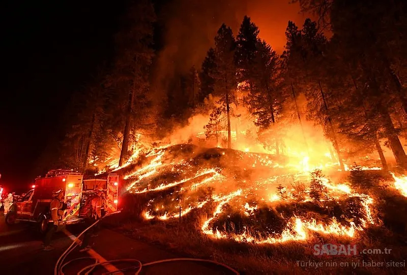 Understanding Controlled Wildfires in California