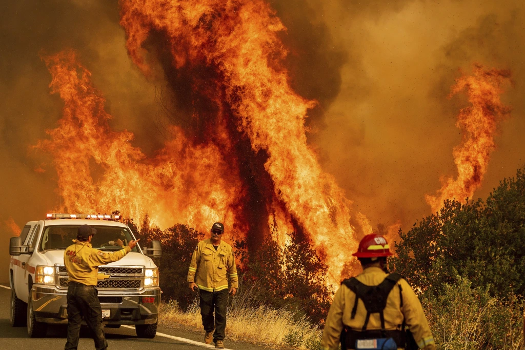 Understanding Controlled Wildfires in California